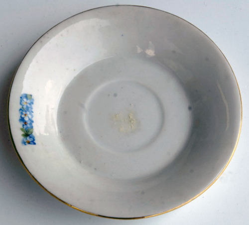 piattino (1896 post)