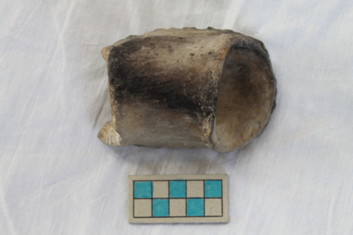 olla/ frammento - Età del Bronzo recente/ ambito culturale centro-settentrionale/produzione locale (XIII secolo a. C. - prima metà XII secolo a. C.)