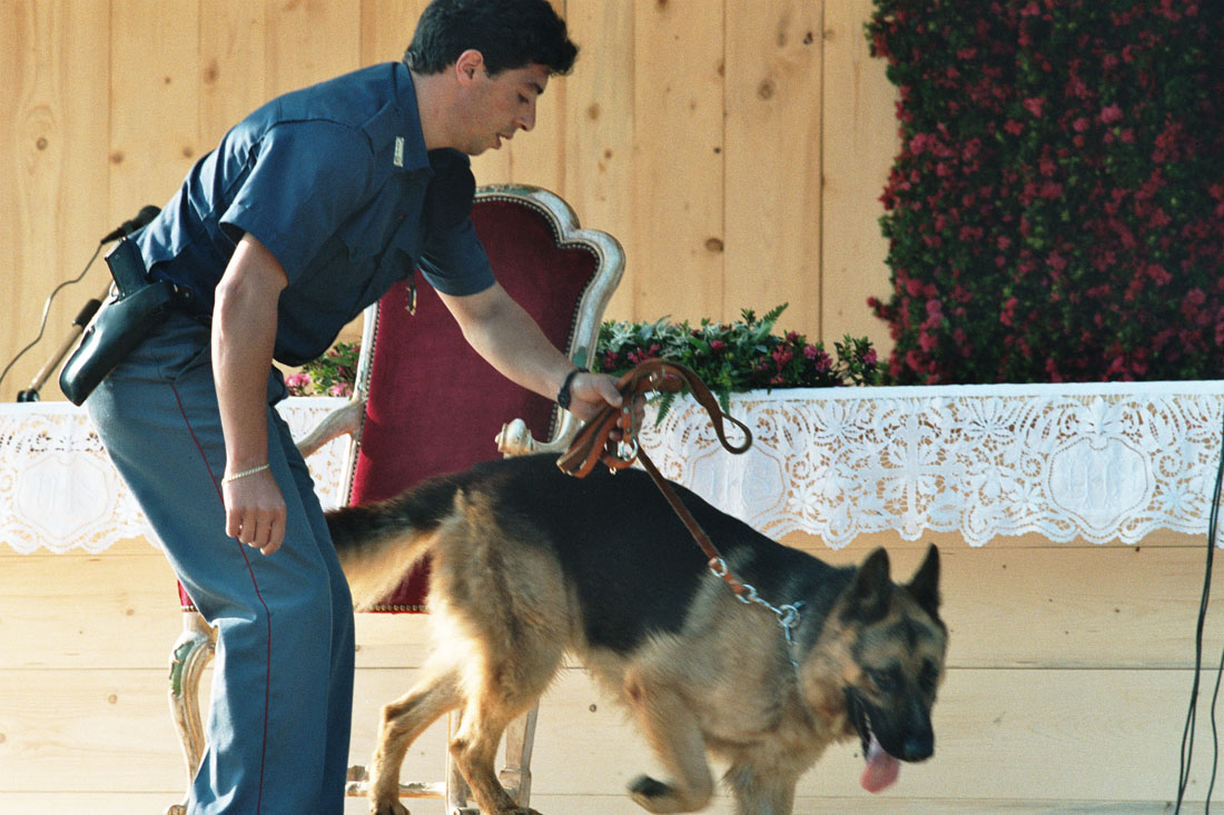 Poliziotto con cane - Val Visdende (negativo) di Ceolin, Elio (ultimo quarto sec. XX)