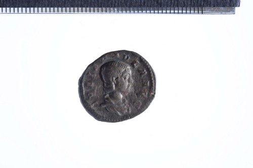 moneta - Denario (III sec. d.C.)