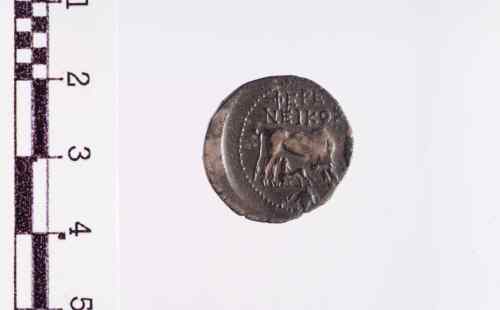 moneta - Dracma (sec. II-I a.C.)