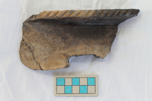 olla/ frammento - Età del Bronzo recente/ ambito culturale centro-settentrionale/produzione locale (XIII secolo a. C. - prima metà XII secolo a. C.)