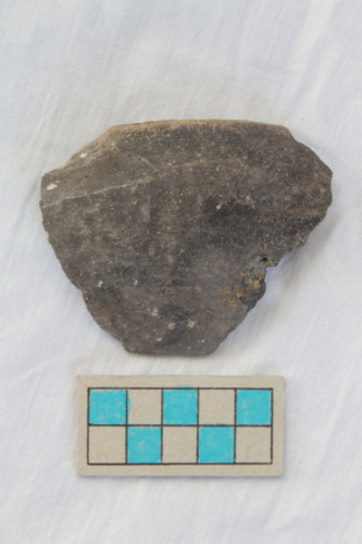 scodella/ frammento - Età del Bronzo recente/ ambito culturale centro-settentrionale/produzione locale (XIII secolo a. C. - prima metà XII secolo a. C.)