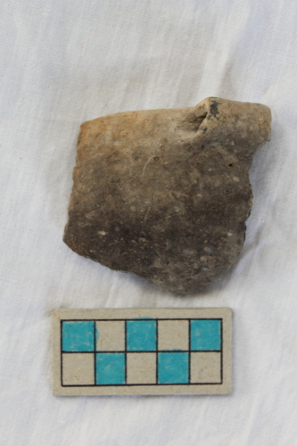 scodella/ frammento - Età del Bronzo recente/ ambito culturale centro-settentrionale/produzione locale (XIII secolo a. C. - prima metà XII secolo a. C.)