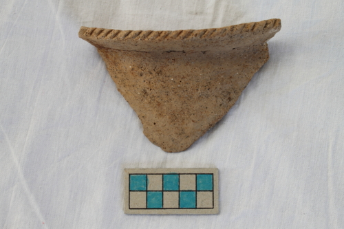 olla/ frammento - Età del Bronzo recente/ ambito culturale centro-settentrionale/produzione locale (XIII secolo a. C. - prima metà XII secolo a. C.)