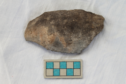 scodella/ frammento - Età del Bronzo recente/ ambito culturale centro-settentrionale/produzione locale (XIII secolo a. C. - prima metà XII secolo a. C.)