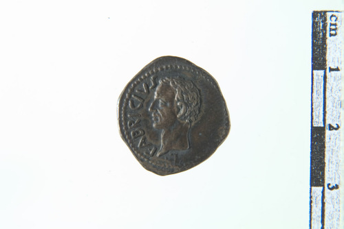 moneta (sec. XVIII- XIX d.C.)