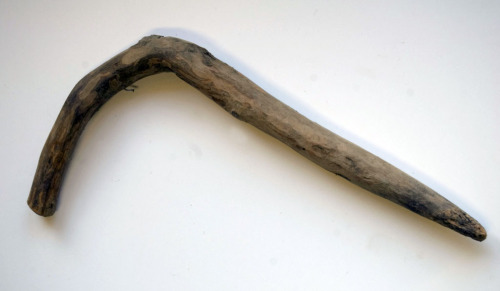 bastone da semina (1940-50)