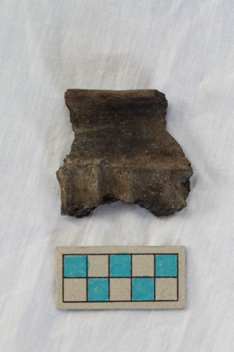 olletta/ frammento - Età del Bronzo recente/ ambito culturale centro-settentrionale/produzione locale (XIII secolo a. C. - prima metà XII secolo a. C.)