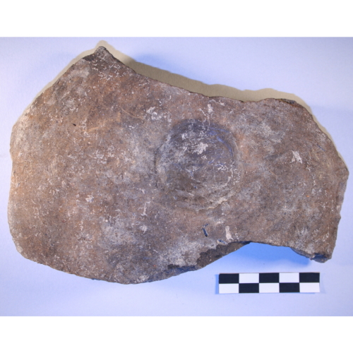 scodella (Età del Bronzo)