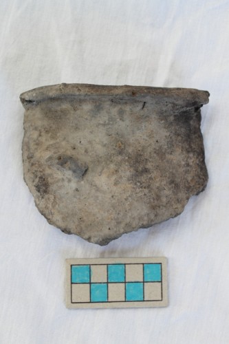 olla/ frammento - Età del Bronzo recente/ ambito culturale centro-settentrionale/produzione locale (XIII secolo a. C. - prima metà XII secolo a. C.)