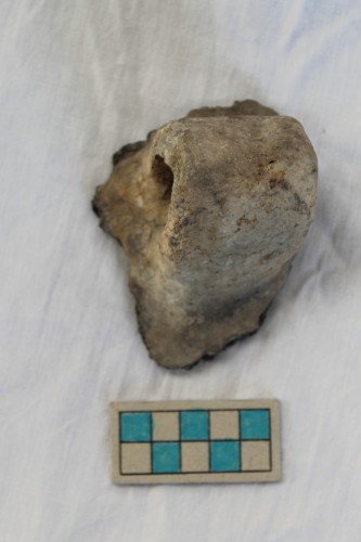 olla/ frammento - Età del Bronzo recente/ ambito culturale centro-settentrionale/produzione locale (XIII secolo a. C. - prima metà XII secolo a. C.)