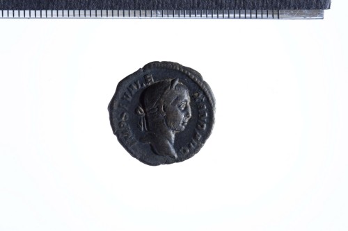 moneta - Denario (III sec. d.C.)