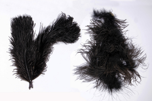 ornamento di piume nere - area brasiliana? (non definita)