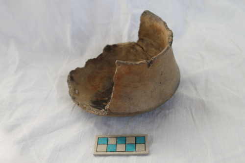 tazza/ forma parzialmente ricostruibile - Età del Bronzo recente/ ambito culturale centro-settentrionale/produzione locale (XIII secolo a. C. - prima metà XII secolo a. C.)