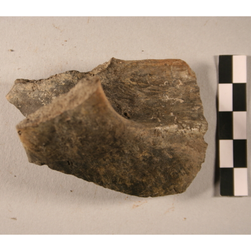 tazza (Età del Bronzo)