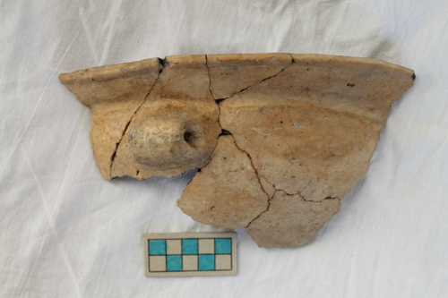 scodella/ forma parzialmente ricostruibile - Età del Bronzo recente/ ambito culturale centro-settentrionale/produzione locale (XIII secolo a. C. - prima metà XII secolo a. C.)