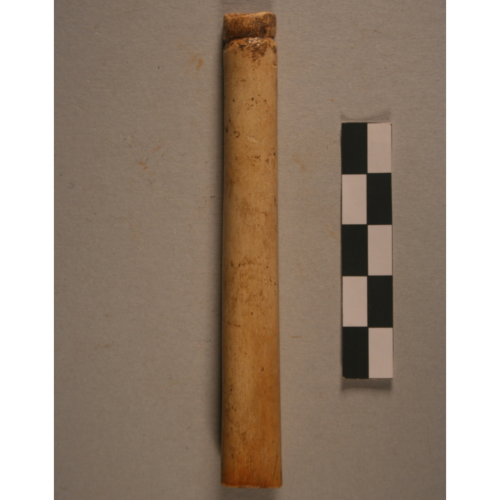 "strumento musicale" (Età del Bronzo)