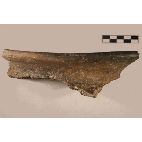 Dolium (Età del Bronzo)