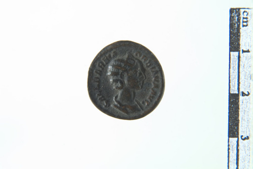 moneta - Asse (sec. XVIII- XIX d.C.)