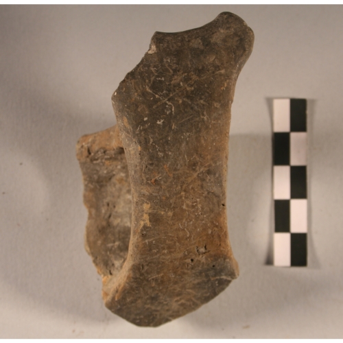 tazza (Età del Bronzo)