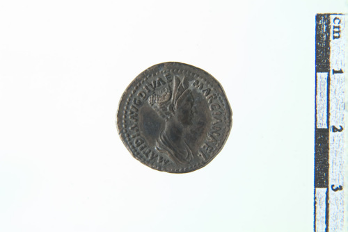 moneta - Denaro (sec. XVIII- XIX d.C.)