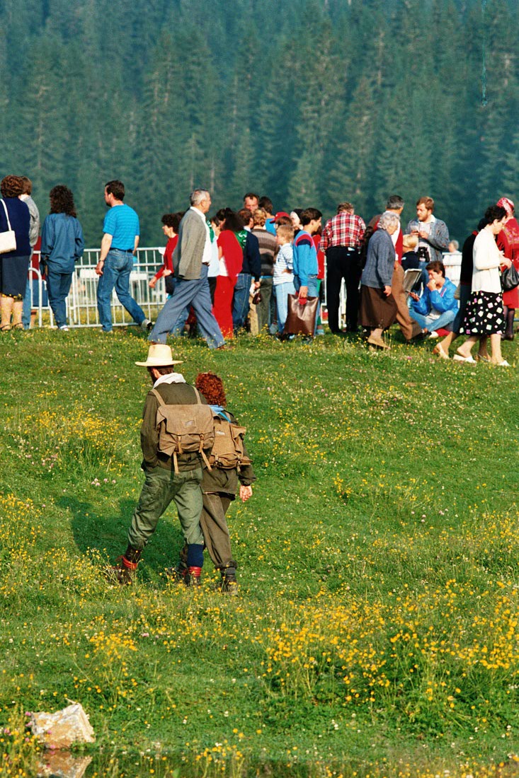 Fedeli - Val Visdende (negativo) di Ceolin, Elio (ultimo quarto sec. XX)