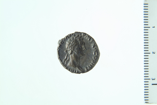 moneta - Denario (I sec. d.C.)