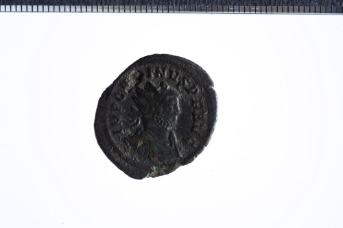 moneta - Antoniniano (ultimo quarto III sec. d.C.)