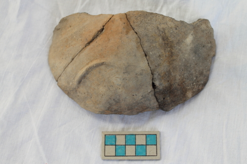 olla/ frammento - Età del Bronzo recente/ ambito culturale centro-settentrionale/produzione locale (XIII secolo a. C. - prima metà XII secolo a. C.)