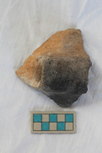 olla/ frammento - Età del Bronzo recente/ ambito culturale centro-settentrionale/produzione locale (XIII secolo a. C. - prima metà XII secolo a. C.)