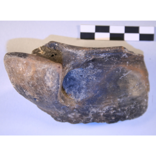 tazza (Età del Bronzo)