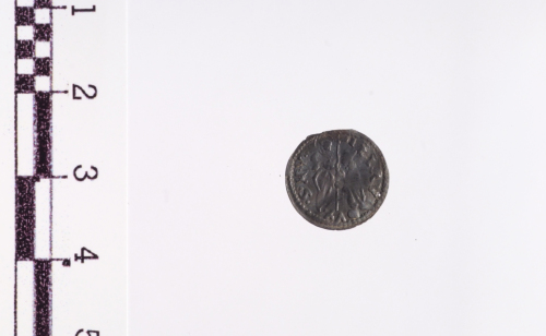 moneta - soldino (primo quarto sec. XVI d.C.)