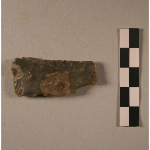 Elemento di falcetto messorio (Età del Bronzo)