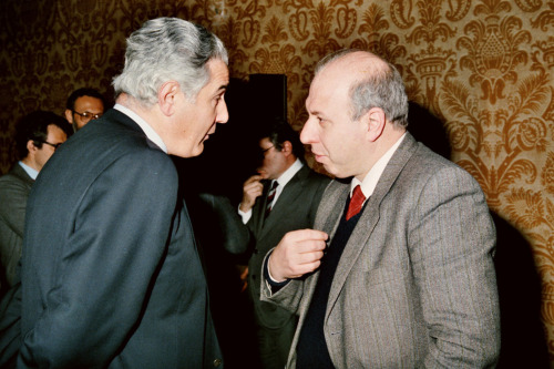 Rinaldi Dario - Fabris Pietro (negativo) di Ceolin, Elio (ultimo quarto sec. XX)