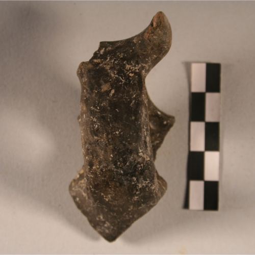 tazza (Età del Bronzo)