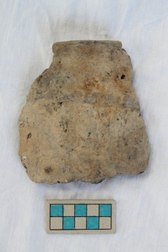 olla/ frammento - Età del Bronzo recente/ ambito culturale centro-settentrionale/produzione locale (XIII secolo a. C. - prima metà XII secolo a. C.)