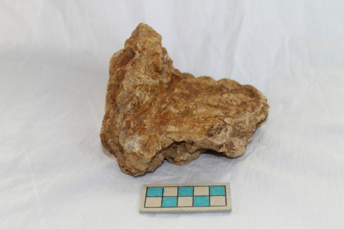 vaso-silos/ frammento - Età del Bronzo finale/ ambito culturale centro-settentrionale/produzione locale (seconda metà XII secolo a. C. - XI secolo a. C.)