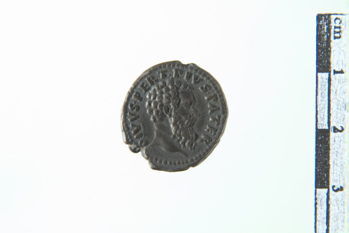 moneta (sec. XVIII- XIX d.C.)