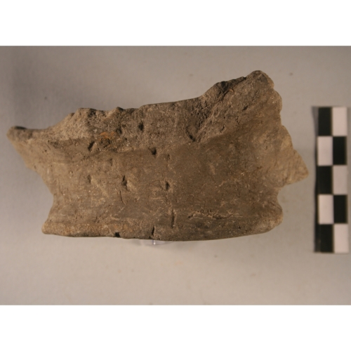 piede (Età del Bronzo)