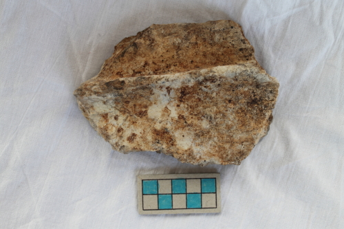 vaso-silos/ frammento - Età del Bronzo finale/ ambito culturale centro-settentrionale/produzione locale (seconda metà XII secolo a. C. - XI secolo a. C.)