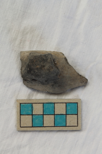 scodella/ frammento - Età del Bronzo recente/ ambito culturale centro-settentrionale/produzione locale (XIII secolo a. C. - prima metà XII secolo a. C.)