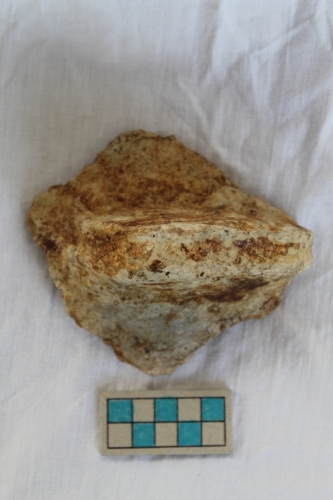 dolio/ frammento - Età del Bronzo finale/ ambito culturale centro-settentrionale/produzione locale (seconda metà XII secolo a. C. - XI secolo a. C.)