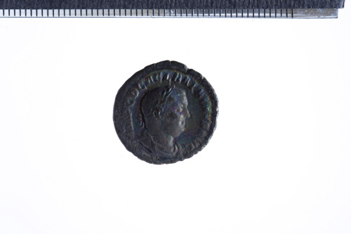 moneta - Denario (III sec. d.C.)