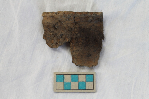 olletta/ frammento - Età del Bronzo recente/ ambito culturale centro-settentrionale/produzione locale (XIII secolo a. C. - prima metà XII secolo a. C.)