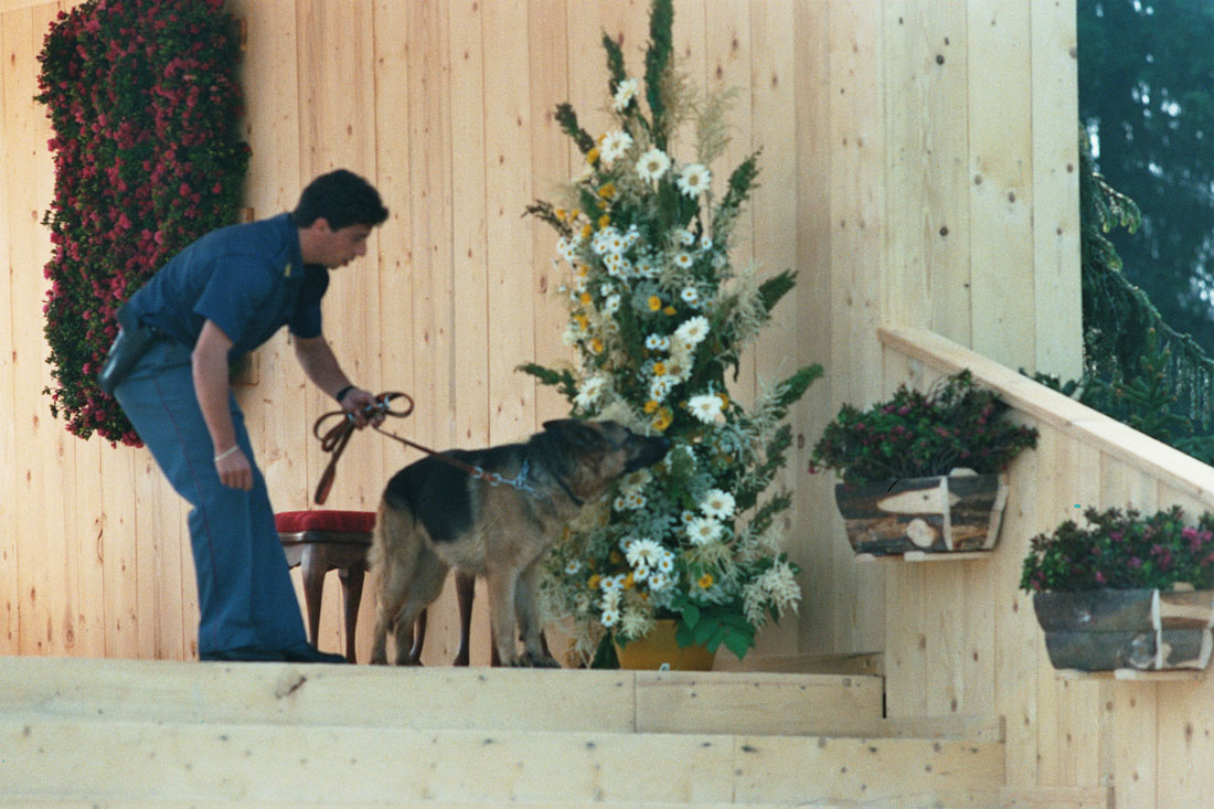 Poliziotto con cane - Val Visdende (negativo) di Ceolin, Elio (ultimo quarto sec. XX)