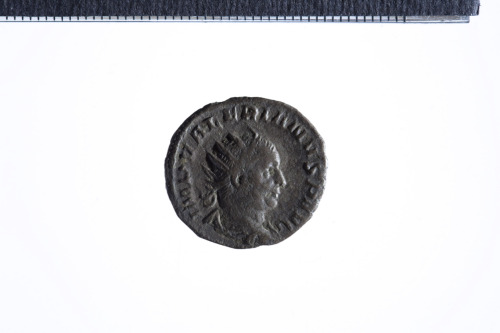 moneta - Antoniniano (terzo quarto III sec. d.C.)