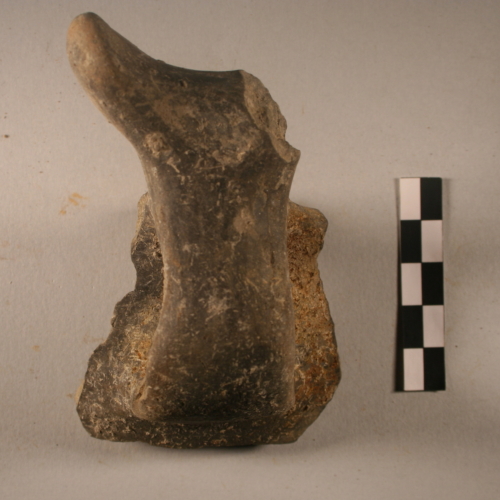 tazza (Età del Bronzo)