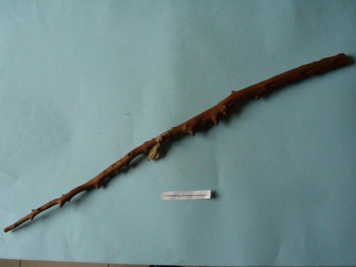 Bastone (fine/inizio secc. XIX/ XX)