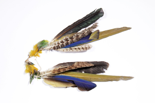 ornamento di piume colorate